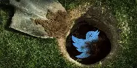 Twitter front-end Nitter dies as Musk wins war against third-party services