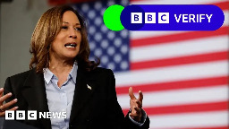 Baseless claim about Kamala Harris crash spread by mysterious site