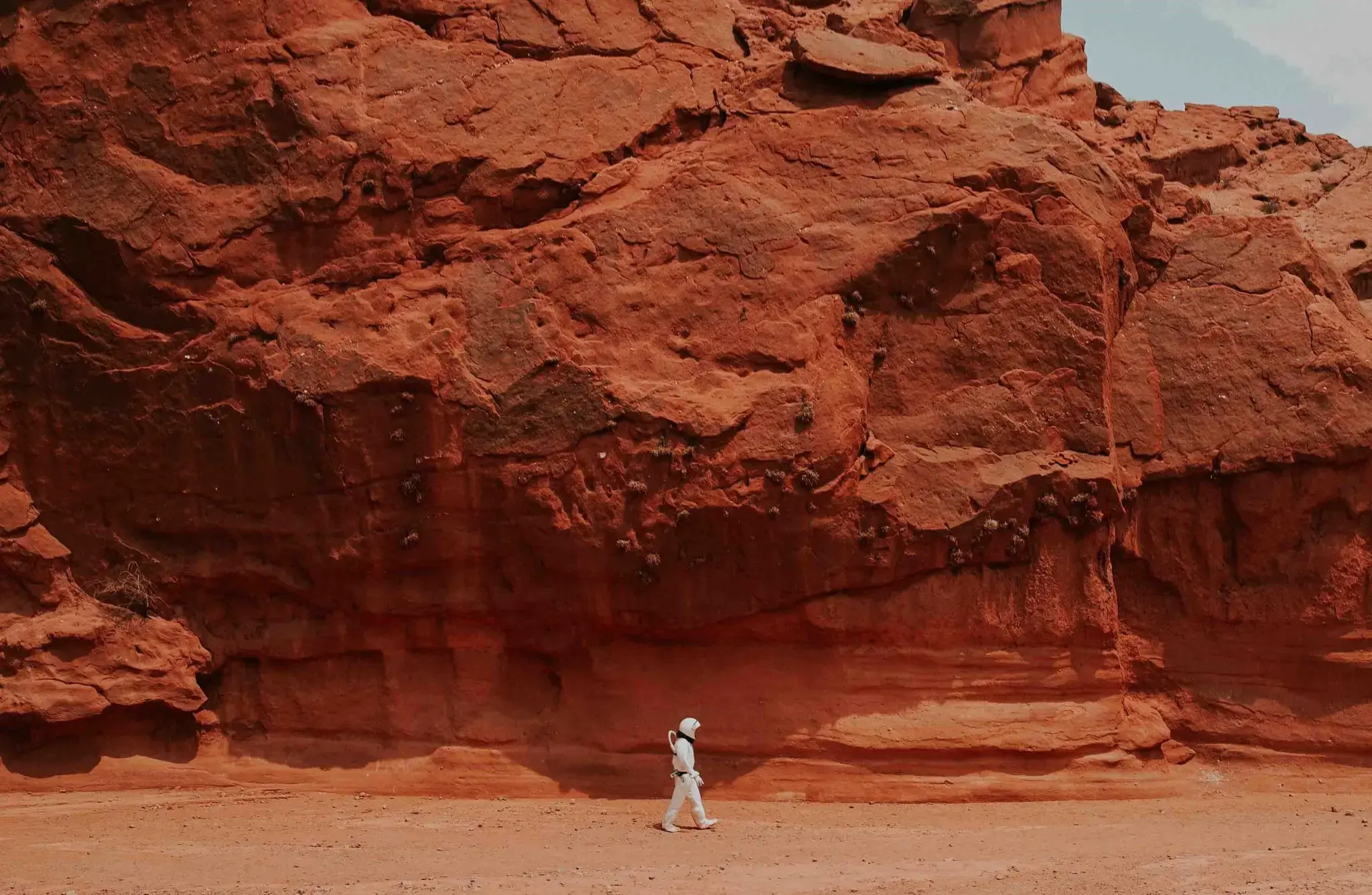 Simulations suggest only 22 people are required to start a colony on Mars