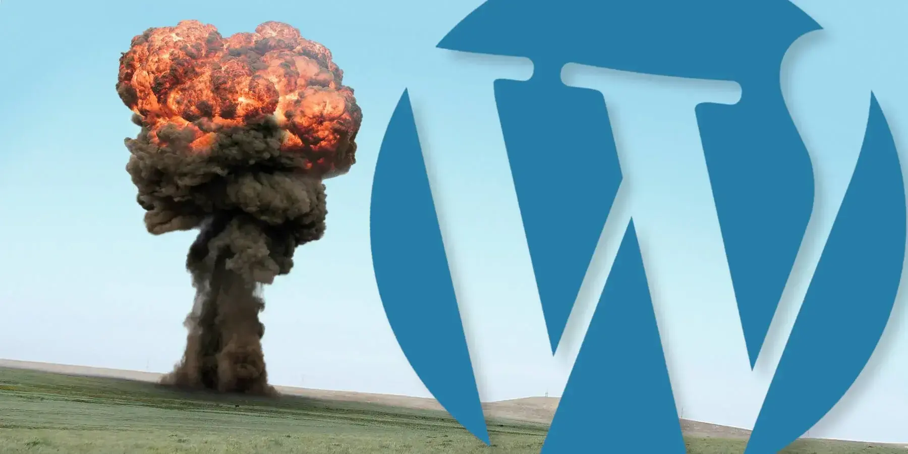 WordPress leader Matthew Mullenweg exiles five contributors