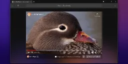 DuckDuckGo browser beta for Windows bakes in a lot of privacy tools