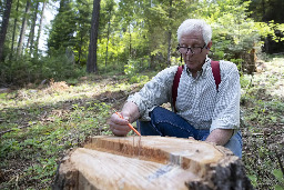 In Oregon Timber Country, a Town Buys the Surrounding Forests to Confront Climate-Driven Wildfires - Inside Climate News