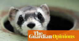 On the 50th anniversary of the Endangered Species Act, a rightwing threat looms | Kim Heacox