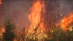 Even the bayous of Louisiana are now threatened by wildfires