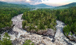 'Take It Down and They'll Return': The Stunning Revival of the Penobscot River