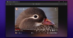 DuckDuckGo’s privacy-focused browser is available for Windows now